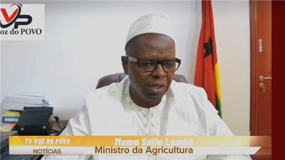 Il Ministro dell'Agricoltura della Guinea ha elogiato molto la cooperazione a...