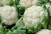 Gli scienziati agricoli stanno creando il cavolfiore del futuro con una nuova...
