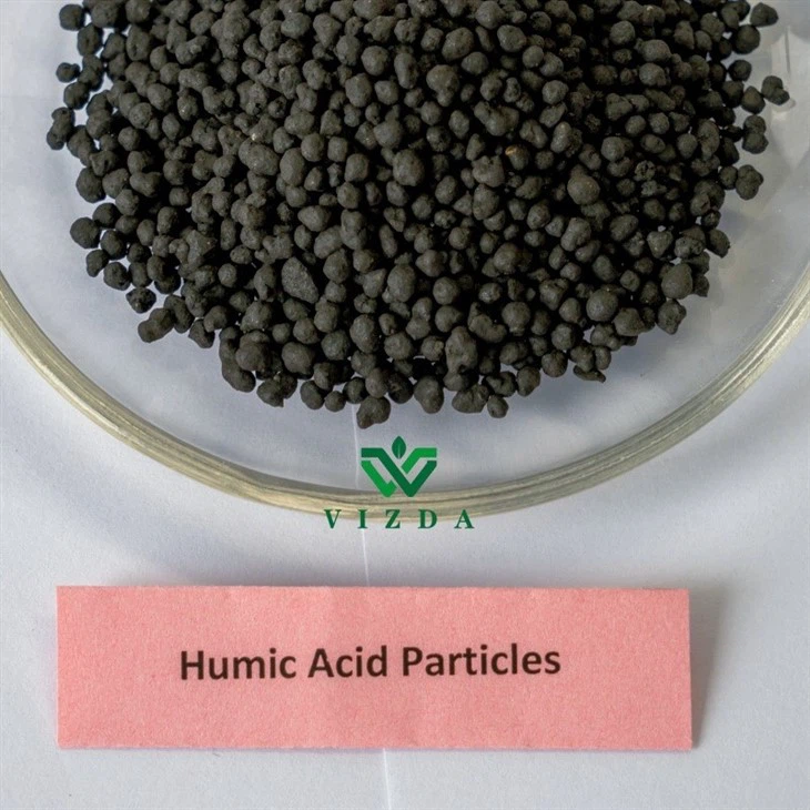 Organic Humic Acid Fertilizer