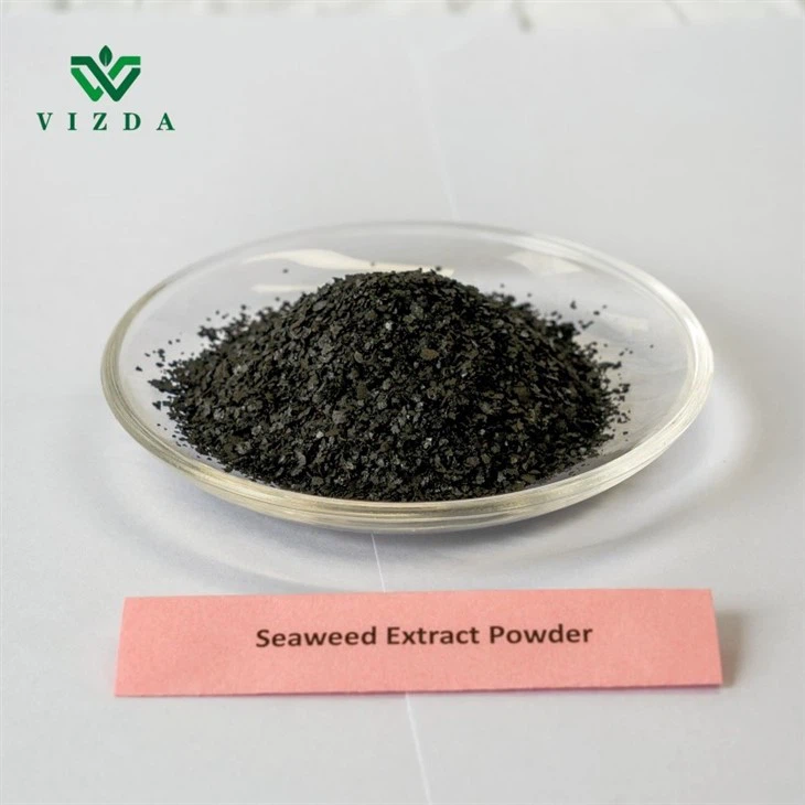 Soluble Black Seaweed Extract
